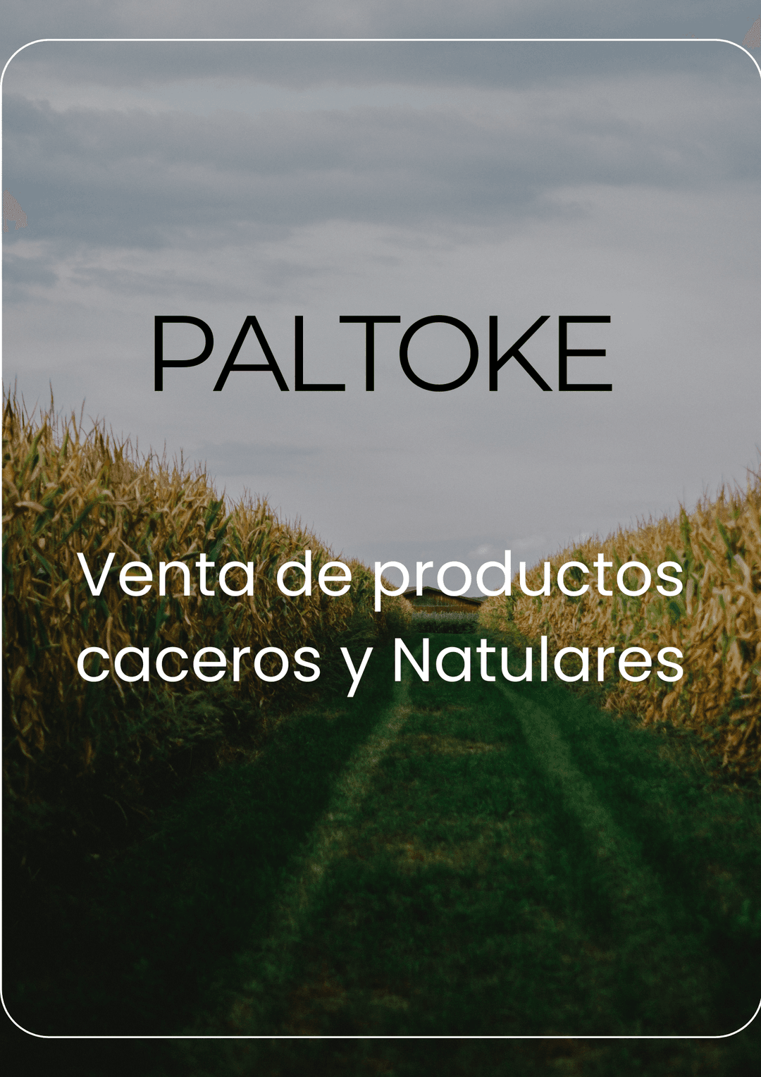 Publicidad
